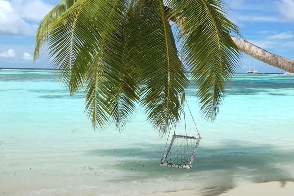 Top-Reiseangebote